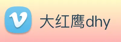 大红鹰dhy logo